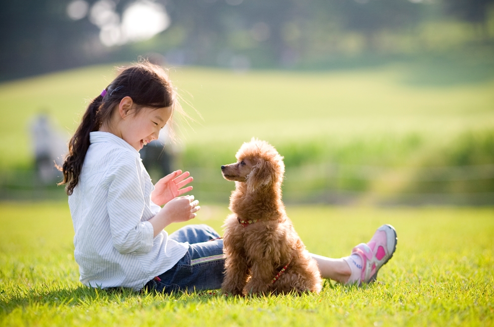 여자 어린이와 강아지가 마주보고 웃고 있는 사진, 제목 '일요일 오후', 장려상, 박대곤